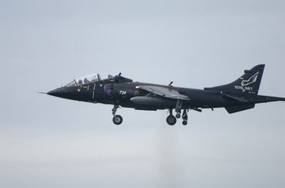 Harrier