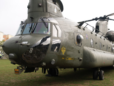 Chinook
