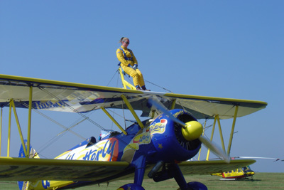 Utterly Butterly Barnstormers