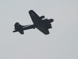 B17