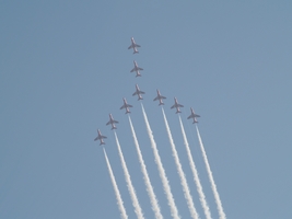 red arrows