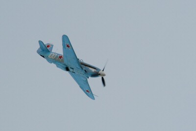 Yak 3 (1)