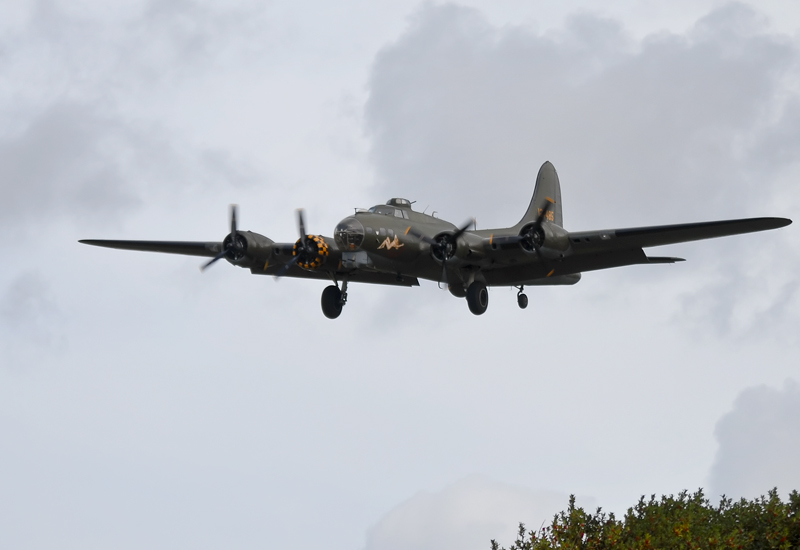 Sally B