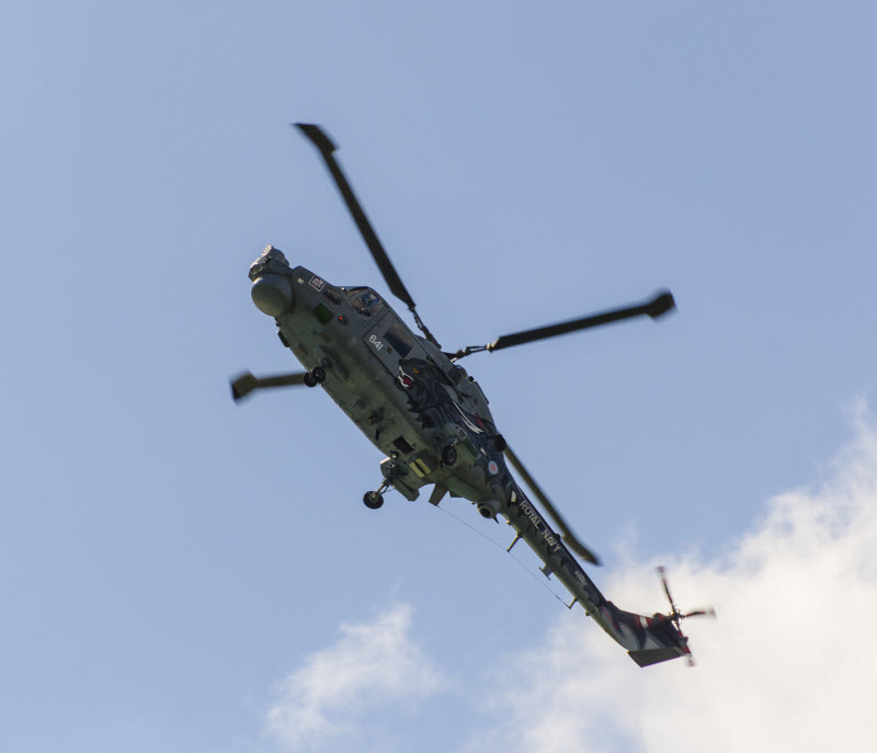 RN Lynx - Black Cats