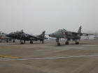 Jaguar and Harrier T8