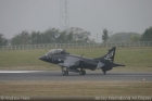 Harrier Landing