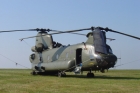 Chinook