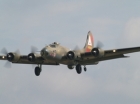 B17
