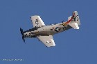Skyraider